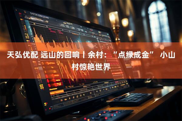 天弘优配 远山的回响丨余村：“点绿成金”  小山村惊艳世界