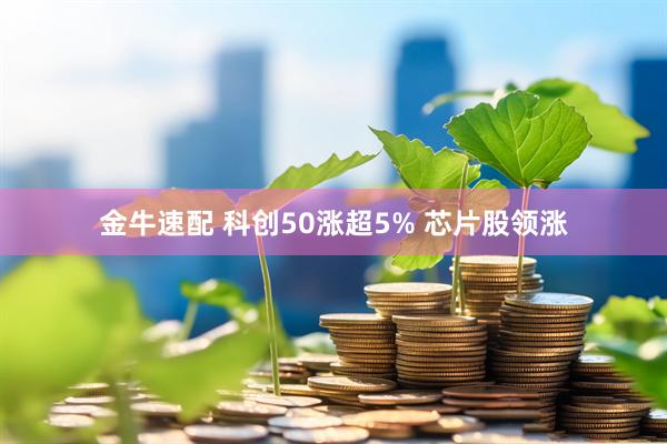 金牛速配 科创50涨超5% 芯片股领涨