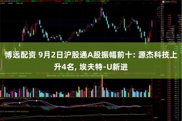 博远配资 9月2日沪股通A股振幅前十: 源杰科技上升4名, 埃夫特-U新进