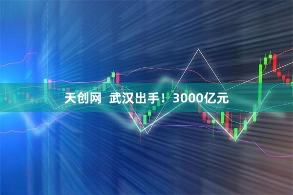 天创网  武汉出手！3000亿元